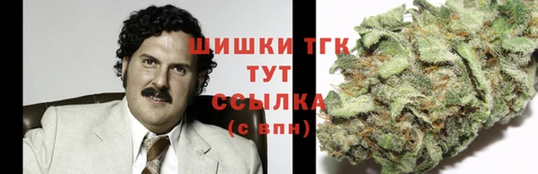 индика Вяземский