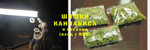 индика Вяземский